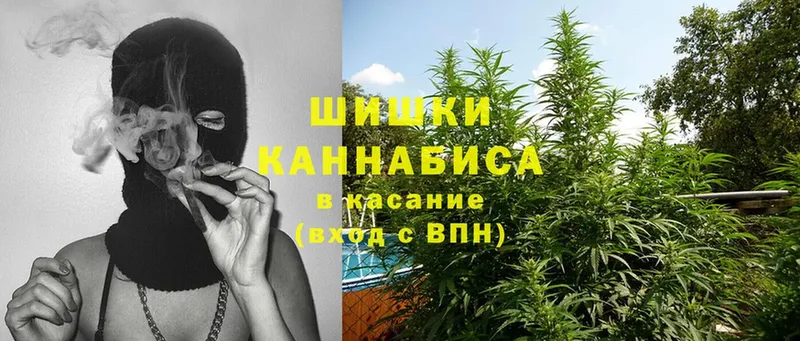 Бошки марихуана OG Kush  Плавск 